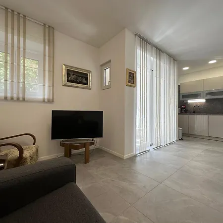 Emily At Center 公寓 斯普利特